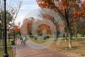 Boston Common Park