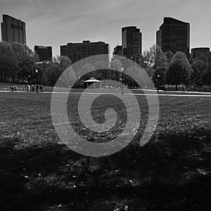 Boston Common photo