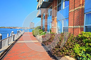 Boston Harbor luxury condos