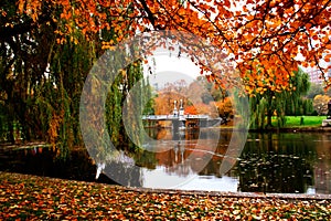 Boston Public Garden