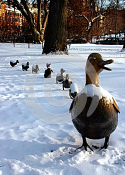 Boston Public Garden