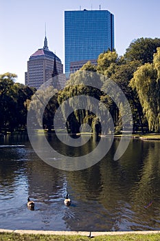 Boston Public Garden