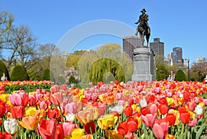 Boston Public Garden