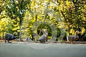 Boston Public Garden