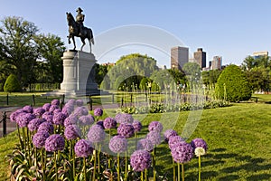 Boston Public Garden