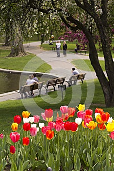 Boston Public Garden in the Spring