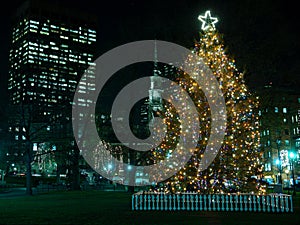 Boston's Christmas Tree photo