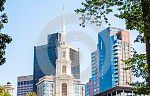 Boston skyline framed by trees