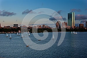 Boston Skyline with Sailboats