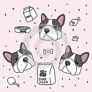 Boston terrier dog head with pet accessories cartoon on pink dot background illustration