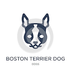 Boston Terrier dog icon. Trendy flat vector Boston Terrier dog i