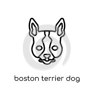 Boston Terrier dog icon. Trendy modern flat linear vector Boston