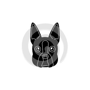 Boston terrier face icon. Popular Breed of dogs element icon. Premium quality graphic design icon. Dog Signs and symbols collectio