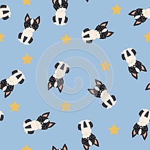 Boston terrier seamless vector pattern/wallpaper.