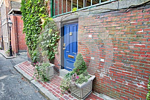 Boston typical houses