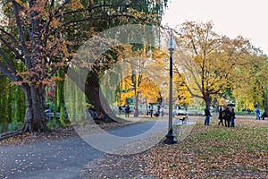 Walking trail in Boston Common park in fall season