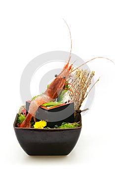 Botan Ebi Sashimi in black bowl Japanese styleon