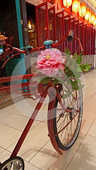 Botan flower on tricycle