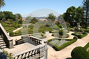 Botancial Garden - Lisbon