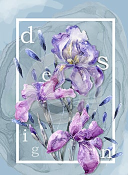 Botanic card with iris flowers, leaves. Spring ornament concept. Floral poster, invite. layout decorative greeting card