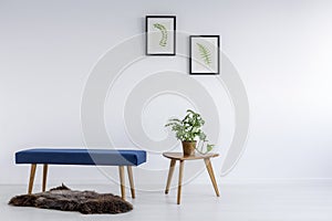 Botanic decoration in room