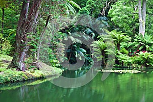 Botanic Garden photo