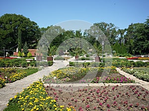 The botanic garden