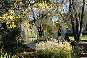 Botanic Garden, Cheyenne, Wyoming