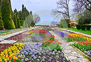 Botanic garden with colorful flowers