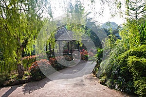 Botanic Garden Gazebo