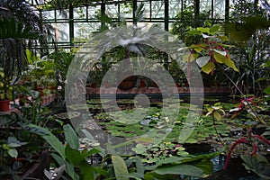 Botanic Garden Greenhouse