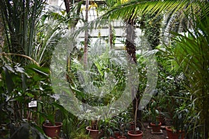 Botanic Garden Greenhouse