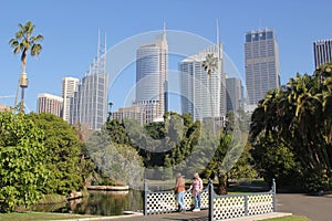 Botanic Garden landscape with Sydney skyline