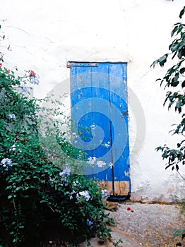 Botanic garden signe little blue old door photo