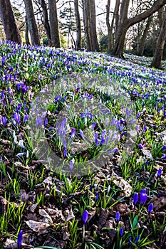 Botanic Gardens, Churchtown, Southport, Merseyside, UK