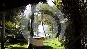 Botanic gardens-Molino del Inca-Torremolinos.