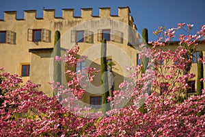 The Botanic Gardens of Trauttmansdorff Castle, Merano, south tyrol, Italy,