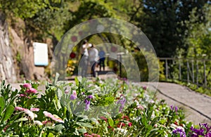 The Botanic Gardens of Trauttmansdorff Castle, Merano, south tyrol, Italy, photo