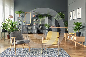 Botanic living room interior with dark walls and wooden furniture such as armchairs, table, bench and cupboard