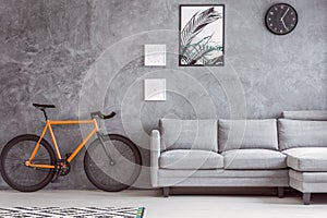 Botanic poster and urban bicycle