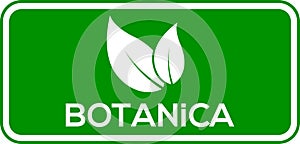 Botanica leaf vector logo or icon, green background Botanica logo