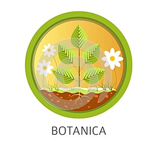 Botanica school discipline, informational lessons about nature and flora photo