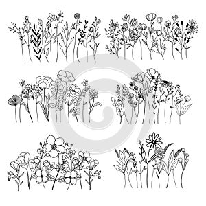 Botanical abstract line art composition, minimal floral border of hand drawn herbs, flowers, leaves and branches