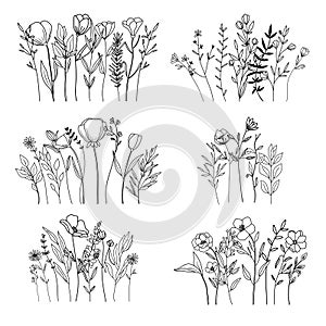 Botanical abstract line art composition, minimal floral border of hand drawn herbs, flowers, leaves and branches