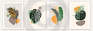 Botanical and abstract shapes wall art design. Composition with monstera, banana, palm leaves, green foliage.