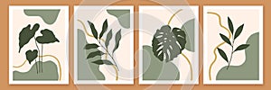 Botanical and abstract shapes wall art design. Modern minimal trendy style composition with palm leaves photo