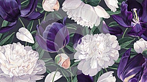 Botanical background in dark colors with realistic spring blooms of white Peony and dark purple Tulips.