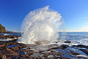 Botanical Beach with Crashing Wave and Tidal Pools on Sandstone Shelf, Juan de Fuca Marine Provincial Park, Vancouver Island, BC