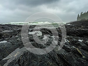 Botanical Beach, Juan de Fuca Trail, Port Renfrew, BC, Vancouver