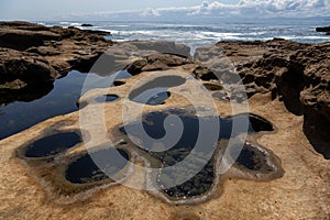 Botanical Beach, Port Renfrew, Vancouver Island, British Columbia, Canada